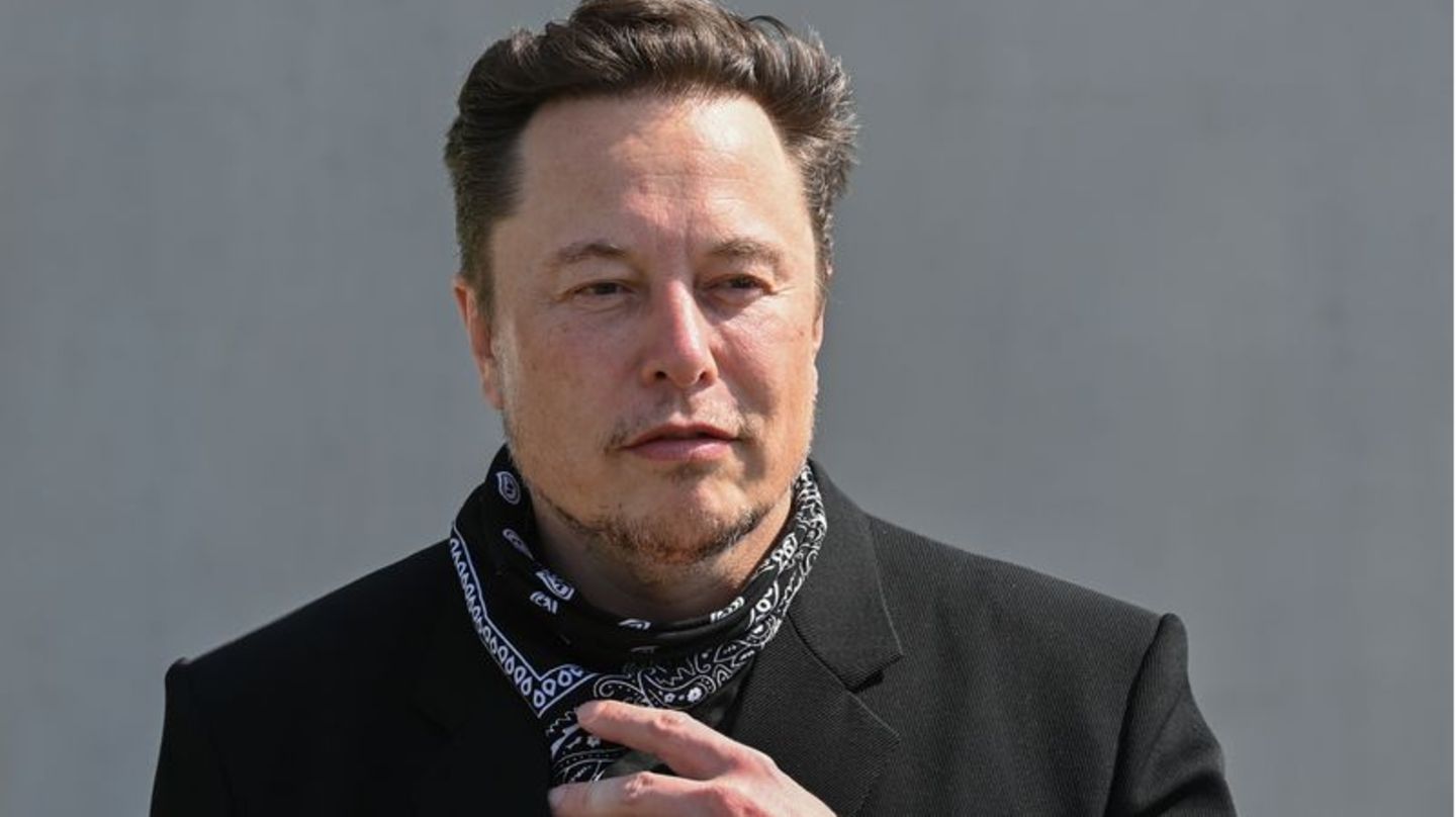 L Attitude D Elon Musk Avec Twitter D Truit Son Image De G Nie Des