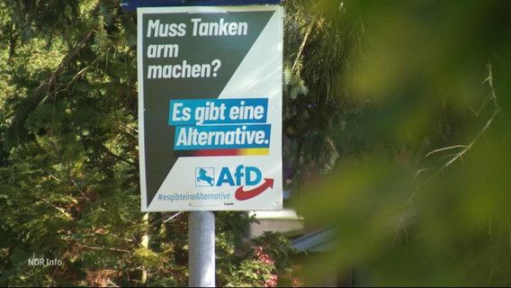 Une affiche électorale de l'AfD sur un réverbère. © Capture d'écran 